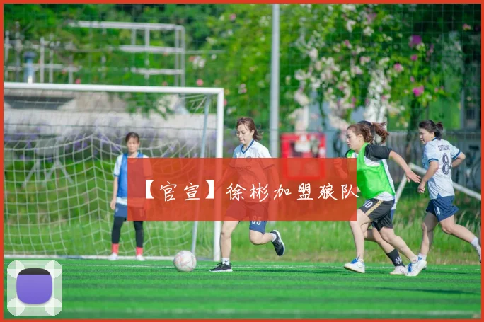 【官宣】徐彬加盟狼队