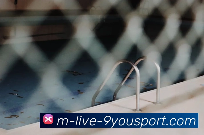 App Interface Preview